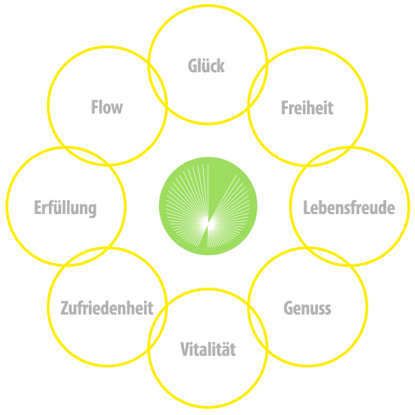 robert hoppaus leichtigkeitscoach werte